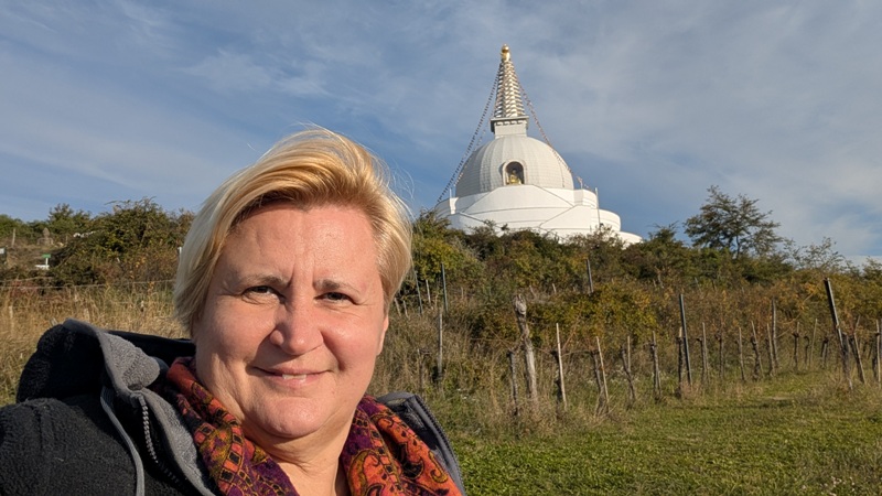 Shakyamuni Buddha in stupa800