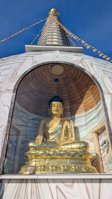 Shakyamuni Buddha statue 800